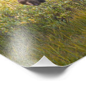 アメリカ、コロラド州、キャメロン・パス。ブルムース フォトプリント (角)