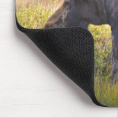 アメリカ、コロラド州、キャメロン・パス。ブルムース マウスパッド (コーナー)