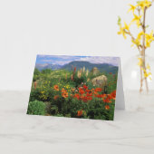 アメリカ、コロラド州、クレステッド・ビュート。ケシとルパン カード (黄色い花)