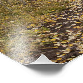 アメリカ、コロラド州、グニソン国立森林付近 フォトプリント (角)