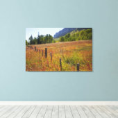 アメリカ、コロラド州、サンフアン国立森林、沿って キャンバスプリント (インサイチュ (ウッドフロア))