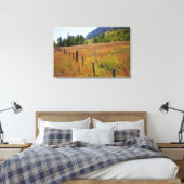 アメリカ、コロラド州、サンフアン国立森林、沿って キャンバスプリント (インサイチュ (寝室))