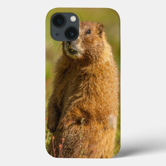 アメリカ、コロラド州、サンフアン山脈 Case-Mate iPhoneケース (裏面)