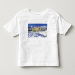 アメリカ、コロラド州、サン フアン山脈の新雪 トドラーTシャツ