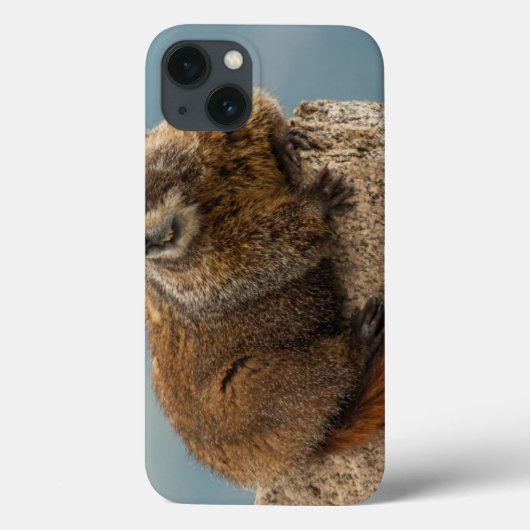 アメリカ, コロラド州, サン フアン山脈 2 Case-Mate iPhoneケース (裏面)