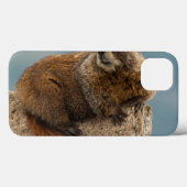 アメリカ, コロラド州, サン フアン山脈 2 Case-Mate iPhoneケース (裏面 (横))
