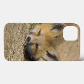 アメリカ、コロラド州、ブレckenridge。警戒するアカギツネ Case-Mate iPhoneケース (裏面 (横))