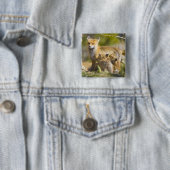 アメリカ、コロラド州、ブレckenridge。赤い狐の母 3 缶バッジ (インサイチュ)