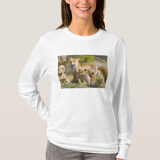 アメリカ、コロラド州、ブレckenridge。赤狐の母3 tシャツ (正面)