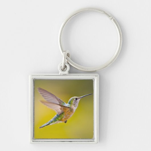 アメリカ、コロラド州、ヘーニー州サミット郡。側面ビュー キーホルダー (正面)