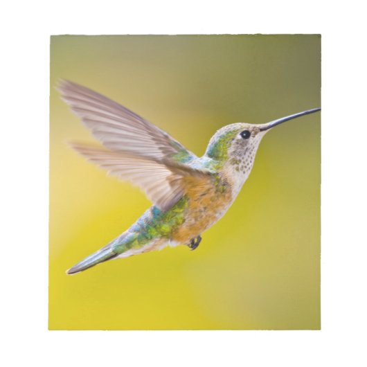 アメリカ、コロラド州、ヘーニー州サミット郡。側面ビュー ノートパッド (正面)