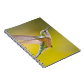 アメリカ、コロラド州、ヘーニー州サミット郡。側面ビュー ノートブック (右側)