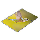 アメリカ、コロラド州、ヘーニー州サミット郡。側面ビュー ノートブック (左側)