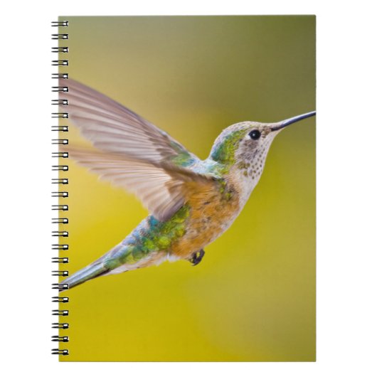 アメリカ、コロラド州、ヘーニー州サミット郡。側面ビュー ノートブック (正面)