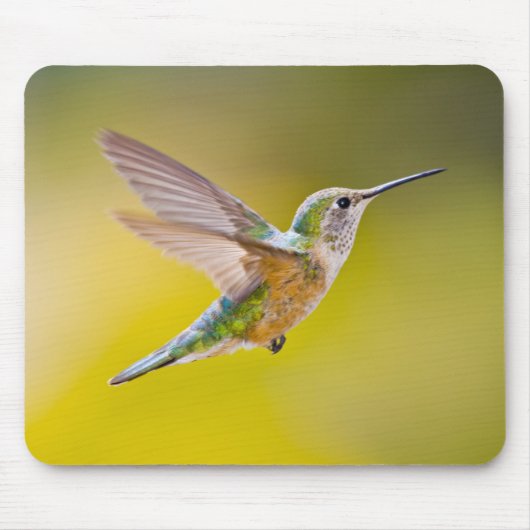 アメリカ、コロラド州、ヘーニー州サミット郡。側面ビュー マウスパッド (正面)