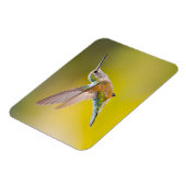 アメリカ、コロラド州、ヘーニー州サミット郡。側面ビュー マグネット (左側)