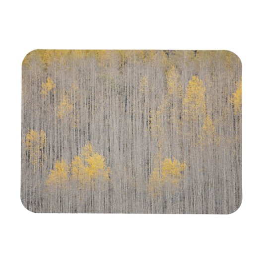 アメリカ、コロラド州、ホワイトリバーナショナルフォレスト。 マグネット (横)