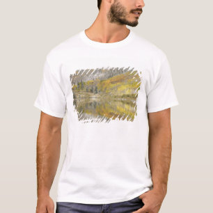 アメリカ, コロラド州, ホワイトリバー国有林, 2 Tシャツ