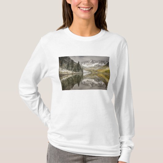 アメリカ, コロラド州, ホワイトリバー国有林, Tシャツ (正面)