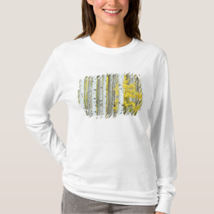 アメリカ, コロラド州, ホワイトリバー国有林, Tシャツ