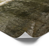 アメリカ、コロラド州、ホワイト・リバー国有林 ポスター (角)