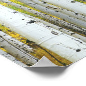 アメリカ、コロラド州、ホワイト・リバー国有林 ポスター (角)