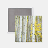 アメリカ、コロラド州、ホワイト・リバー国有林 マグネット (正面/裏面)