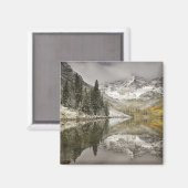 アメリカ、コロラド州、ホワイト・リバー国有林 マグネット (正面/裏面)