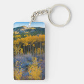 アメリカ、コロラド州。ロッキーの明るい黄色の《植物》アスペン キーホルダー (裏面)