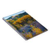 アメリカ、コロラド州。ロッキーの明るい黄色の《植物》アスペン ノートブック (右側)