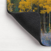 アメリカ、コロラド州。ロッキーの明るい黄色の《植物》アスペン マウスパッド (コーナー)