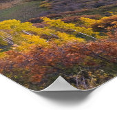 アメリカ、コロラド州、ロッキー山脈、サンフアン ポスター (角)