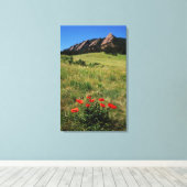 アメリカ、コロラド州、大きい石。フラティロンとポピー キャンバスプリント (インサイチュ (ウッドフロア))