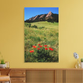 アメリカ、コロラド州、大きい石。フラティロンとポピー キャンバスプリント (インサイチュ (リビング))