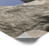 アメリカ、コロラド州、山・エバンス。山羊の母親 ポスター (角)