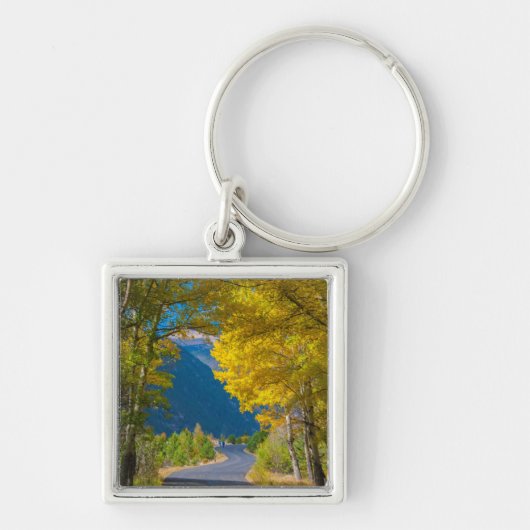 アメリカ、コロラド州。隣接する道路《植物》アスペン キーホルダー (正面)