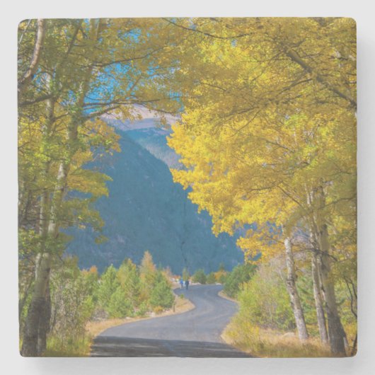 アメリカ、コロラド州。隣接する道路《植物》アスペン ストーンコースター (正面)