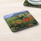 アメリカ、コロラド、クレステッド·バット。ポピーとルパン コースター (左側)