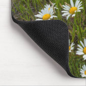 アメリカ、コロラド、サンフアン山脈。デイジー マウスパッド (コーナー)