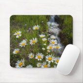 アメリカ、コロラド、サンフアン山脈。デイジー マウスパッド (マウス)