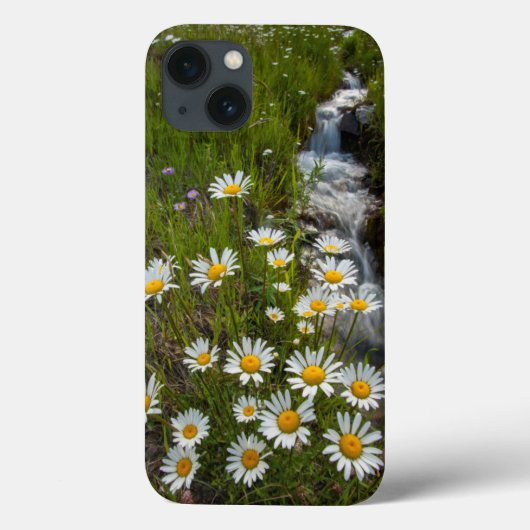 アメリカ、コロラド、サンフアン山脈。デイジー Case-Mate iPhoneケース (裏面)