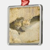 アメリカ、コロラド、ブリッケンリッジ。奇妙な赤いキツネ メタルオーナメント (左)