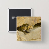 アメリカ、コロラド、ブリッケンリッジ。奇妙な赤いキツネ 缶バッジ (正面&裏面)