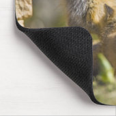 アメリカ、コロラド、ブリッケンリッジ。赤狐の母3 マウスパッド (コーナー)