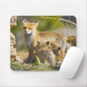 アメリカ、コロラド、ブリッケンリッジ。赤狐の母3 マウスパッド (マウス)