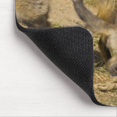 アメリカ、コロラド、ブリッケンリッジ。赤狐の母 マウスパッド (コーナー)