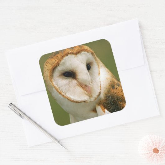 アメリカ、コロラド、ブロムフィールド。メンフクロウ スクエアシール (封筒)