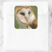 アメリカ、コロラド、ブロムフィールド。メンフクロウ スクエアシール (バッグ)