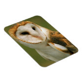 アメリカ、コロラド、ブロムフィールド。メンフクロウ マグネット (右側)