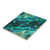 アメリカ、コロラド、ラファイエット。アワビ貝紋章 タイル (側面)